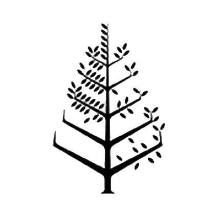 沙姆沙伊赫四季度假村酒店 Logo